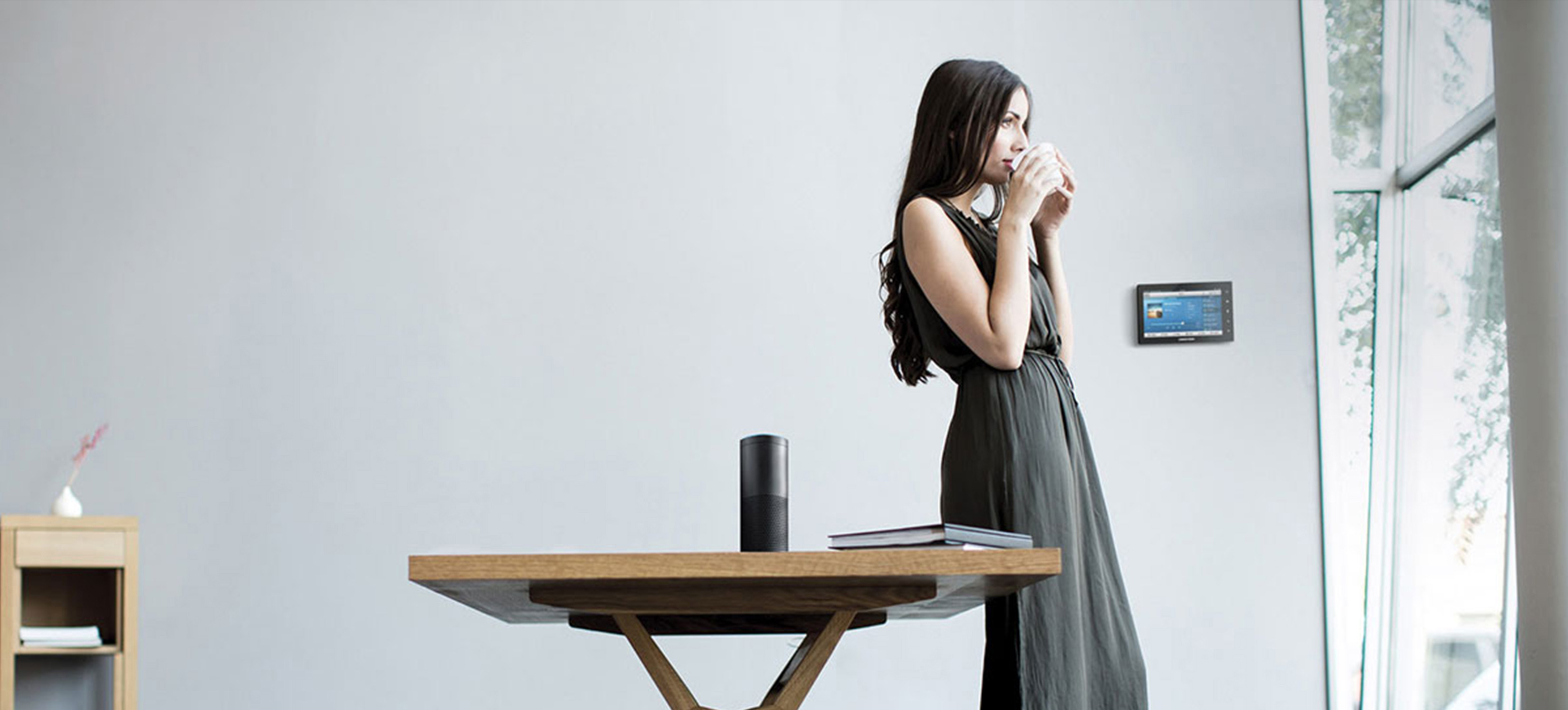 Crestron home technology